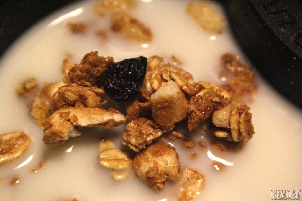 raisin-bran-granola-milk