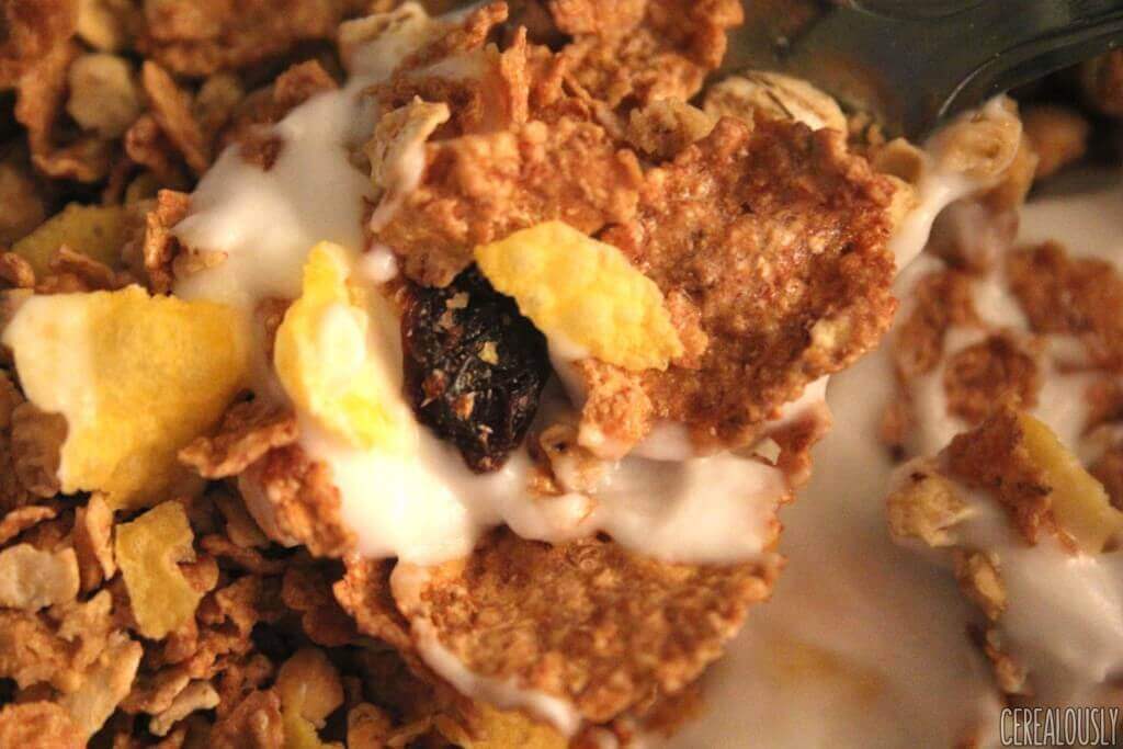 Nature Valley Raisin Oat Clusters in Vanilla Yogurt