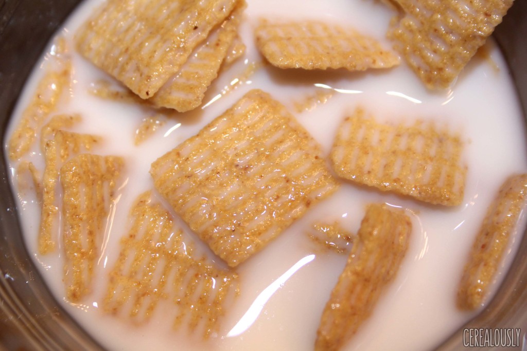 Limited Edition Pumpkin Spice Life Cereal with Milk