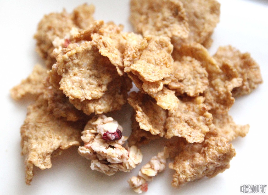 Kellogg's Raisin Bran Crunch Apple Strawberry Cereal Flakes & Clusters