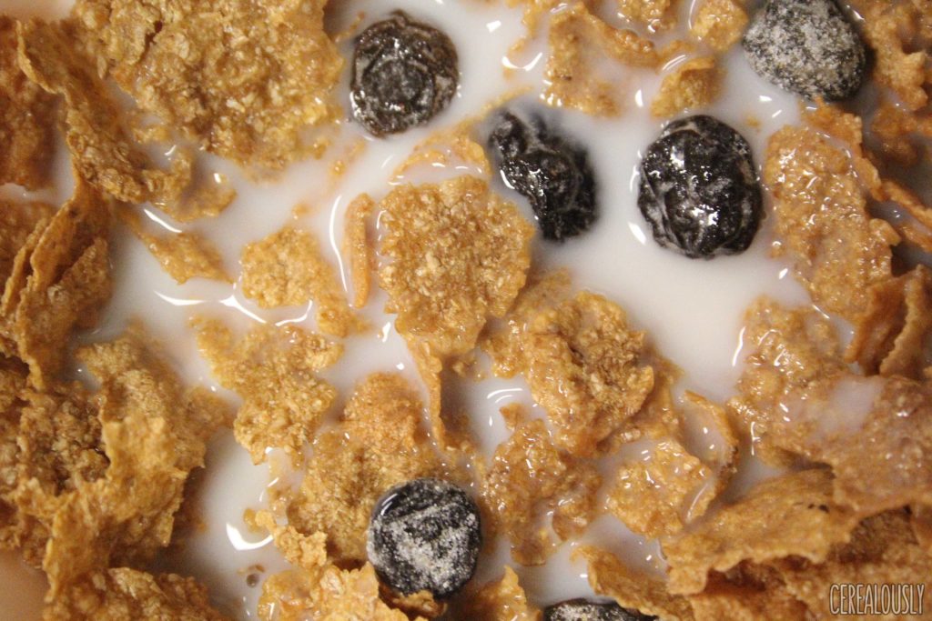 Kellogg's Raisin Bran Cereal Review with Milk