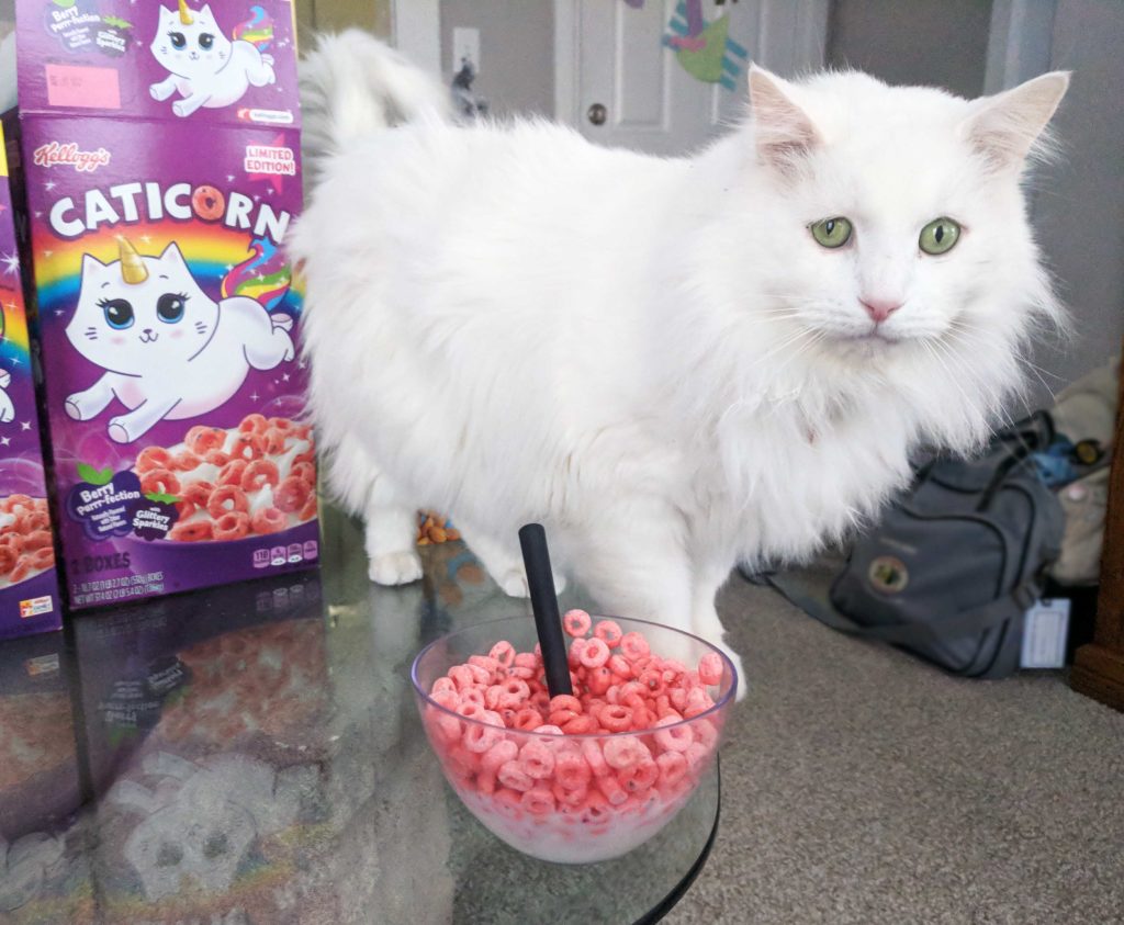 Kellogg's Caticorn Cereal Review – Milk