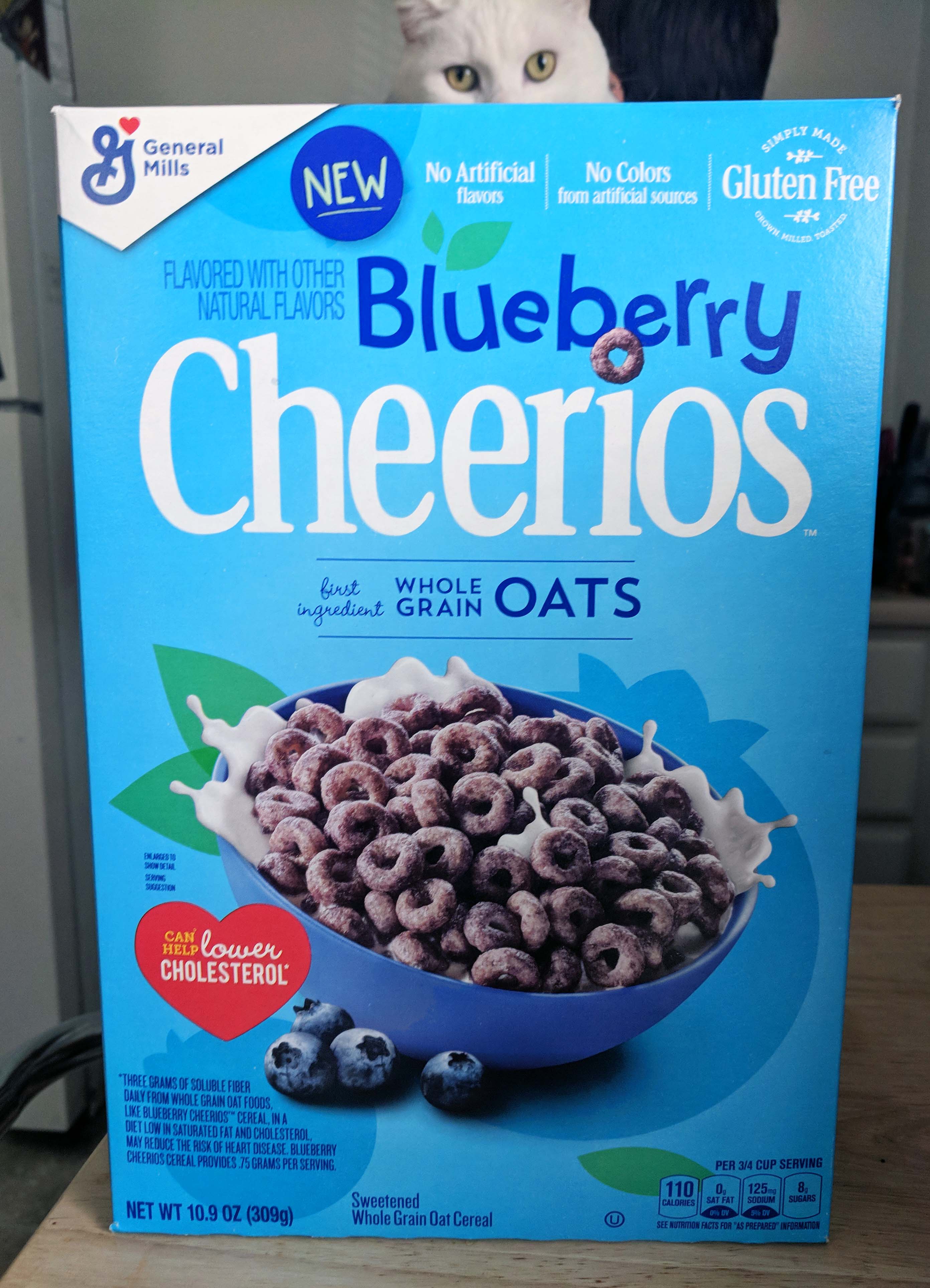 Blueberry Cheerios REVIEW! General Mills' Newest Cereal
